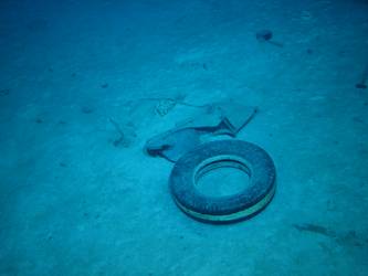 Rubber tyre - possibly from aircraft